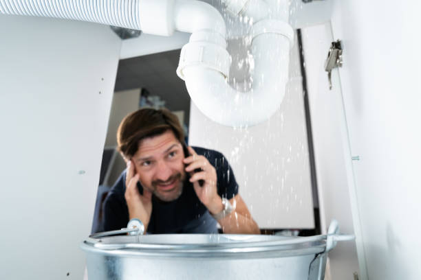 Best Local Plumber Services  in Westgate, FL